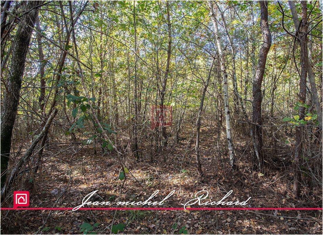 Propriété de chasse Sologne 42 hectares - photo 7