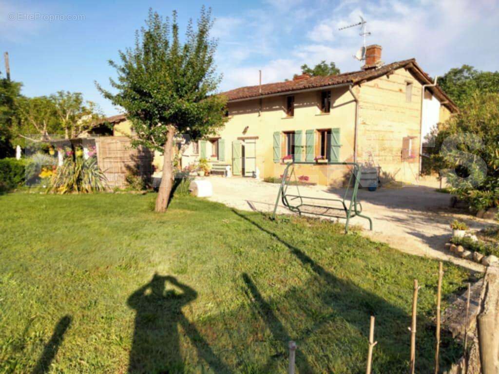 Messenger_creation_755EF7A5-F7B9-4378-9066-35A1945C2B61 - Maison à VILLEMUR-SUR-TARN