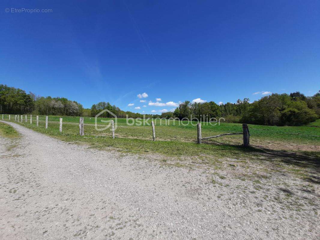 Terrain à CHAILLAC-SUR-VIENNE