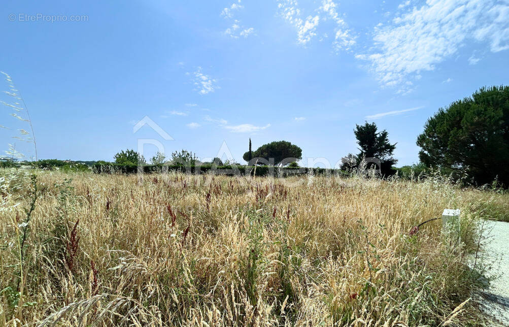 Terrain à SAINT-PALAIS-SUR-MER