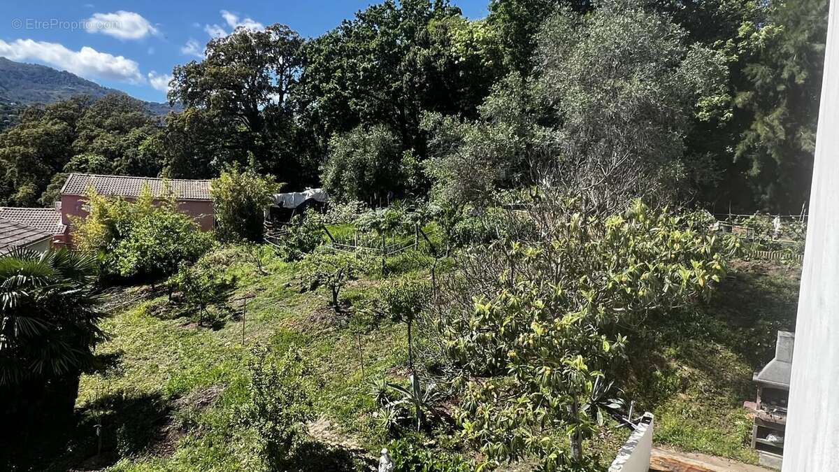 Appartement à SAN-NICOLAO