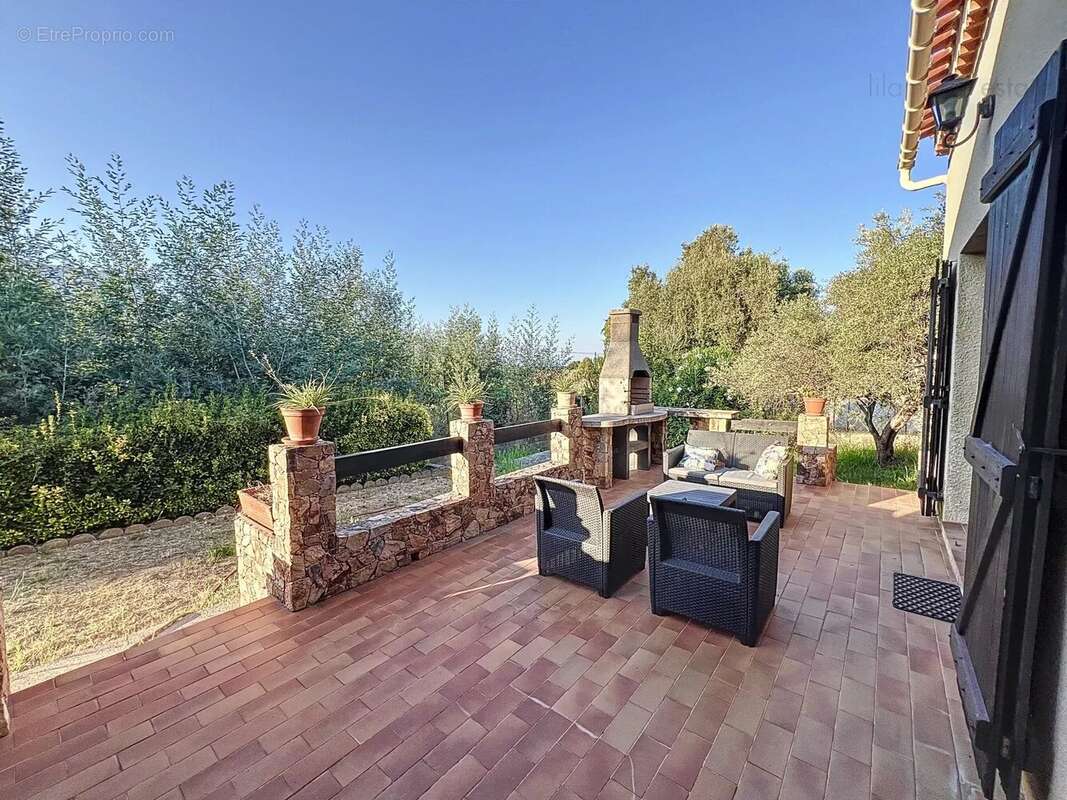 Corse du sud - Ajaccio - Sarrola-Carcopino - Maison - Grand terrain - photo 7