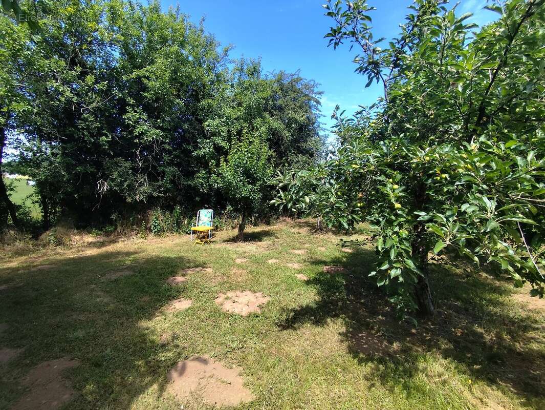 Joli cottage de 3 chambres avec grand jardin et grange, près de Civray - photo 19