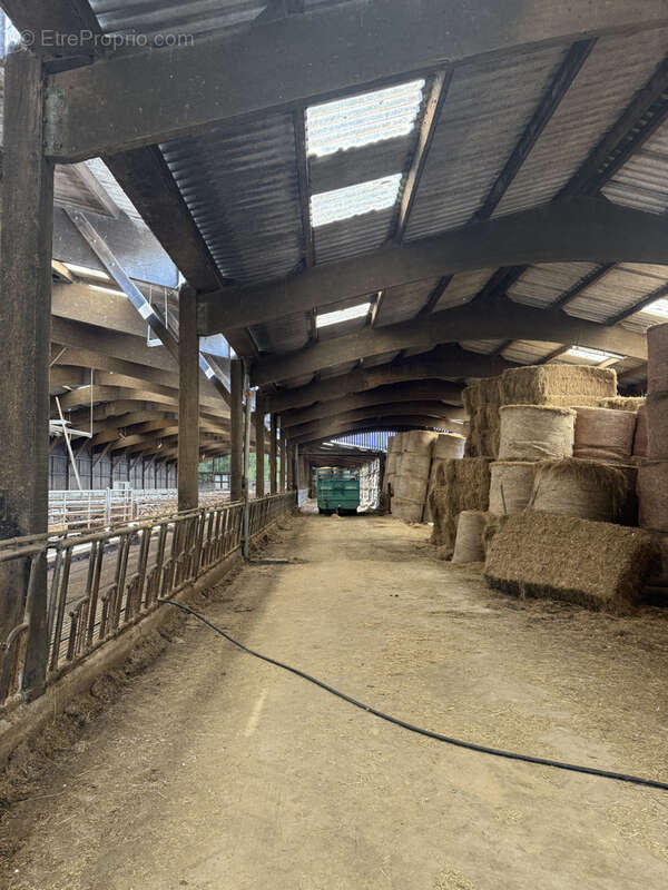 Maison à MONTREUIL-SUR-LOZON