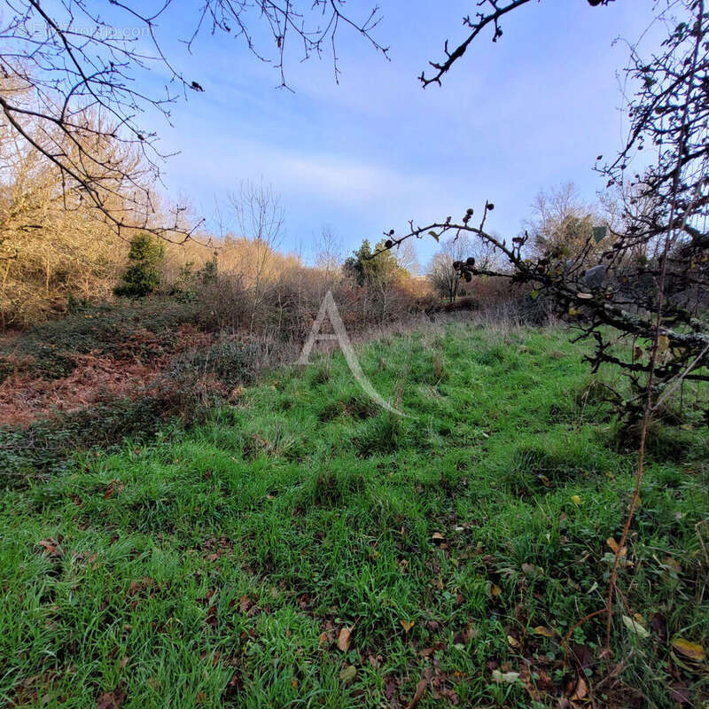 Terrain à LE CHAMP-SAINT-PERE