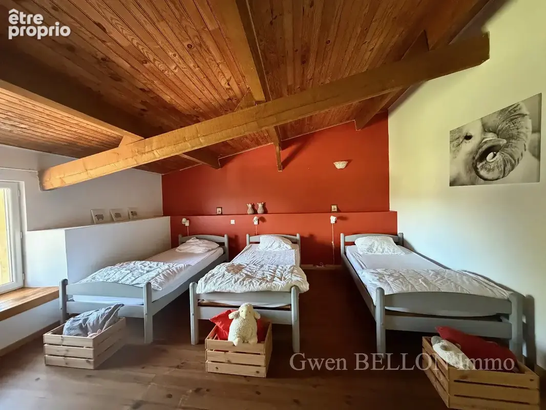 Maison 8 pièces 265 m² à vendre à L'isle-En-Dodon (31230) - photo 33
