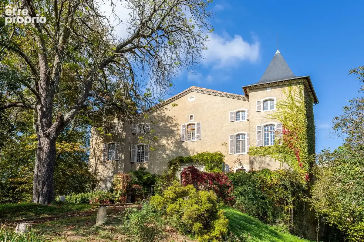 Château - Une situation magnifique et des intérieurs époustouflants - photo 3