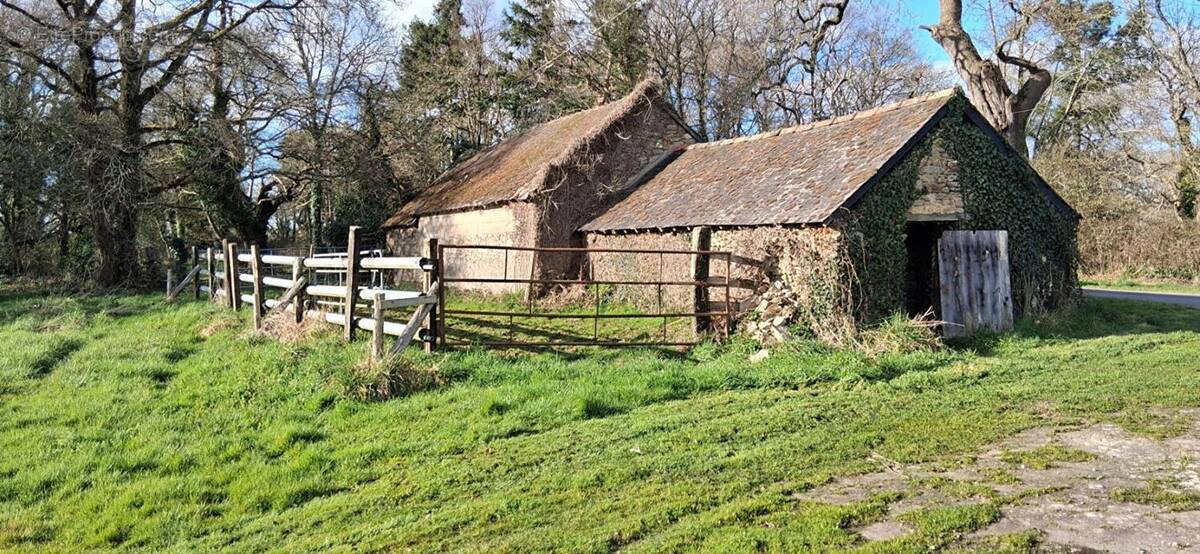 Terrain à PONTCHATEAU