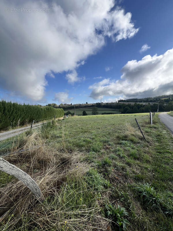 Terrain à MONISTROL-SUR-LOIRE