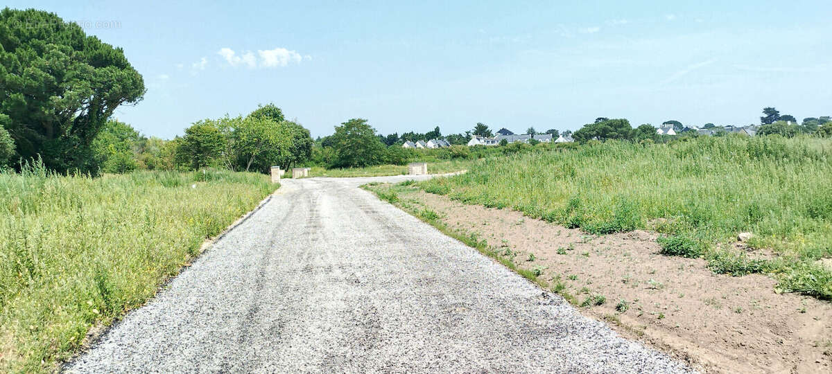 Terrain à CARNAC