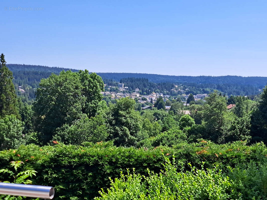 Maison à LE CHAMBON-SUR-LIGNON