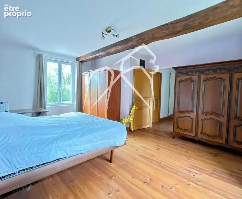 Maison de maître  2 habitations  5 000 m² de terrain - photo 8