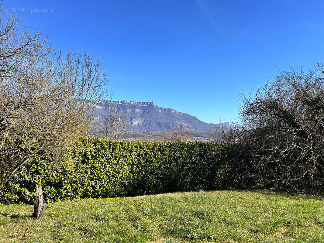Maison Potentiel Locatif - photo 2