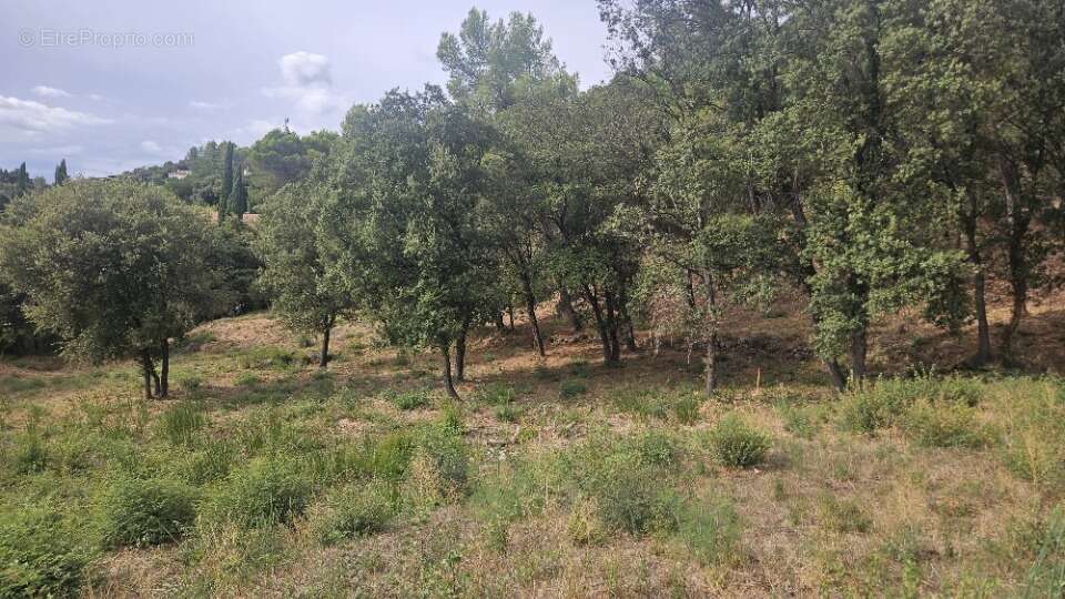 Terrain à TARADEAU