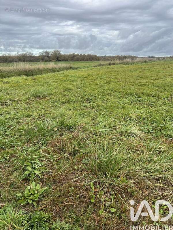 Photo 5 - Terrain à VERGOIGNAN