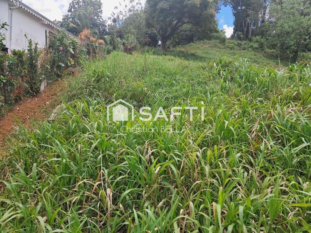 Photo 2 - Terrain à LE LAMENTIN