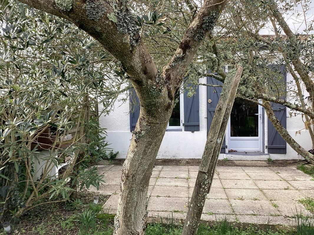 FACADE EST DE LA MAISON - Maison à LE VERDON-SUR-MER
