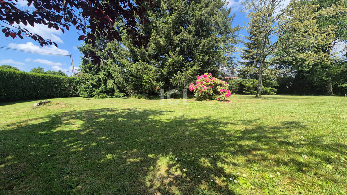 Terrain à VIGNEUX-DE-BRETAGNE