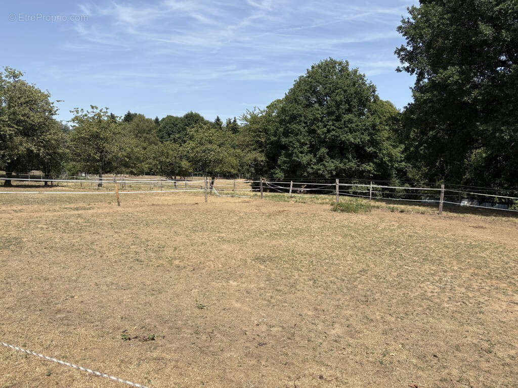 Saint-Sornin Lavolps, en bordure de l'hippodrome - photo 6