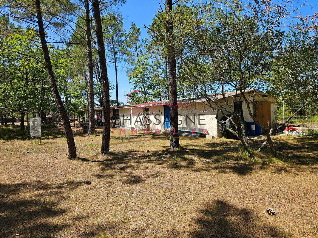 À 30 minutes de Bordeaux et 45 minutes d’Arcachon, domaine avec 2 étangs sur 15 hectares - photo 3