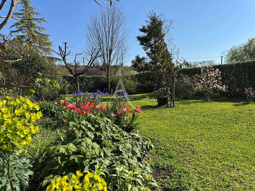 Maison à LE GUE-DE-VELLUIRE