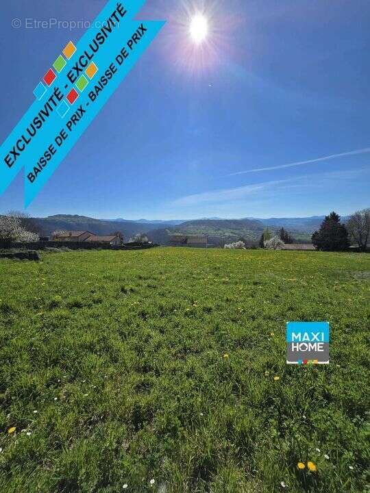 Terrain à POLIGNAC