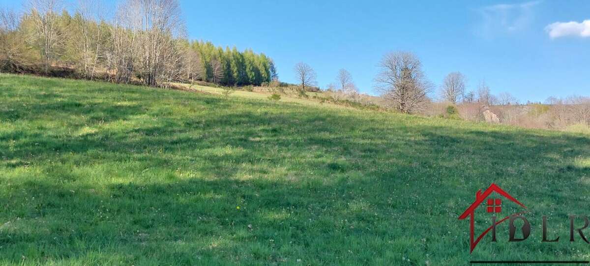 Ancienne ferme à renover avec étang,3 hectares de terrain - photo 7
