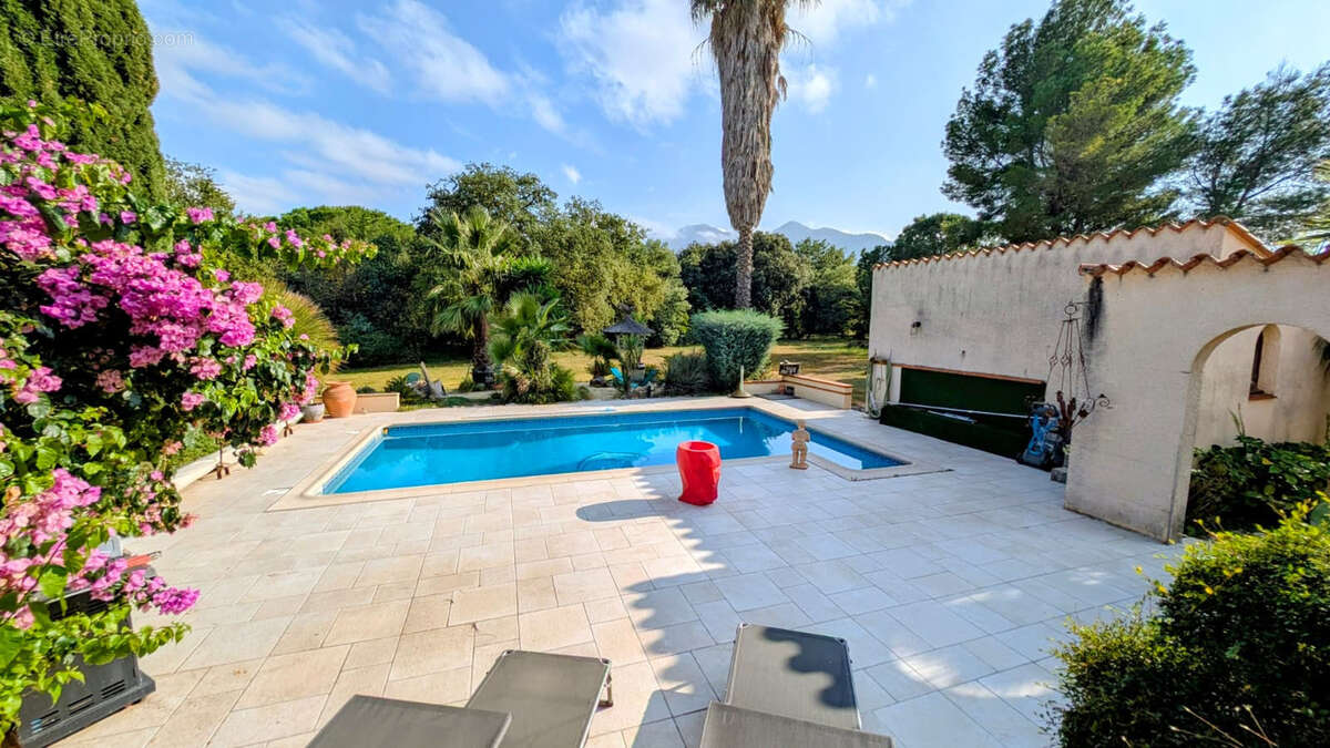 Maison à MONTESQUIEU-DES-ALBERES