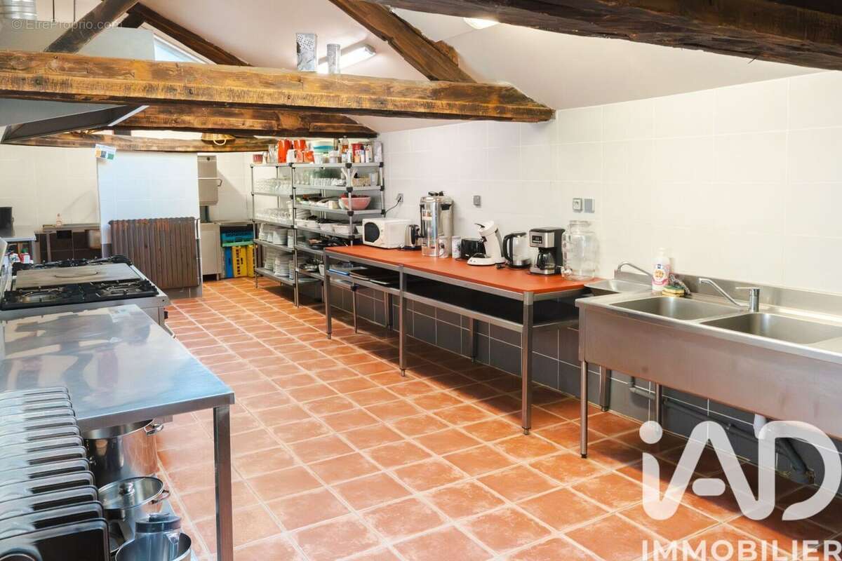 Maison 527 m² à Sceaux-D'anjou  - photo 3