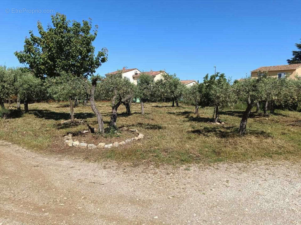 Terrain à AUBIGNAN
