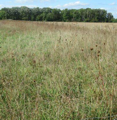 Terrain à CHAUMONT-SUR-THARONNE