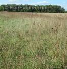 Terrain à CHAUMONT-SUR-THARONNE