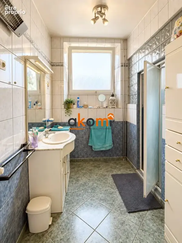 Maison 7 pièces 233 m² à vendre à Domevre-Sur-Vezouze (54450) - photo 8