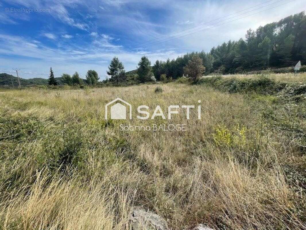 Terrain 31000 m² à Cabrieres  - photo 6
