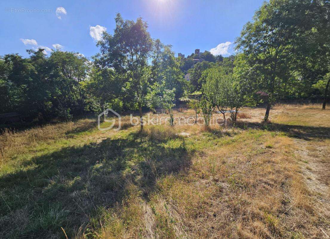 Maison de caractère de 108 m² avec terrain clos de 5 000 m² – Montaigut-le-Blanc - photo 15