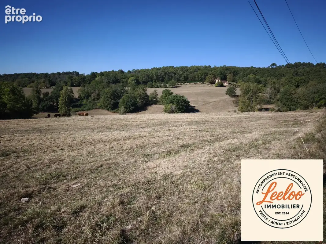 Terrain 16 109 m² à vendre à Tamnies (24620) - photo 8