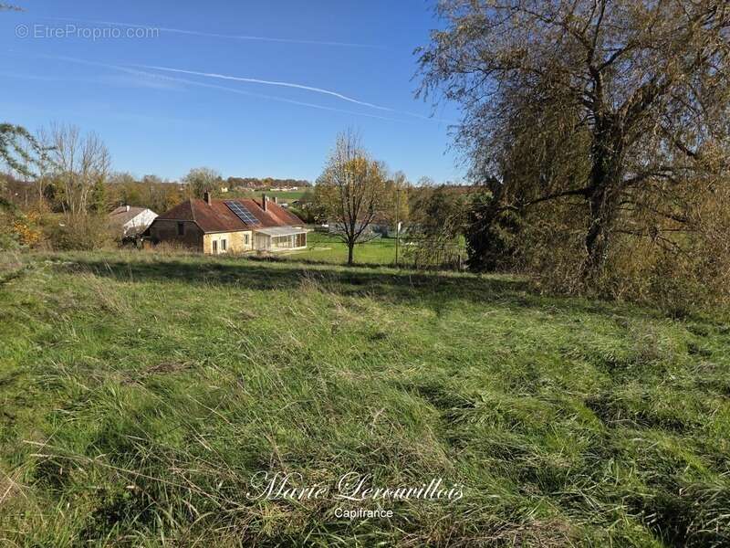 Terrain à vendre CHAOURCE (10) - photo 2