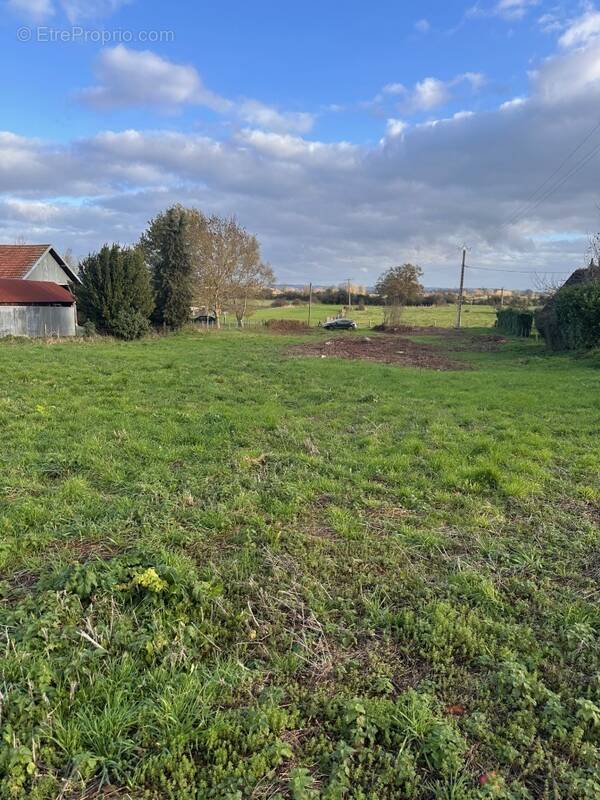 Terrain à MARAIS-VERNIER
