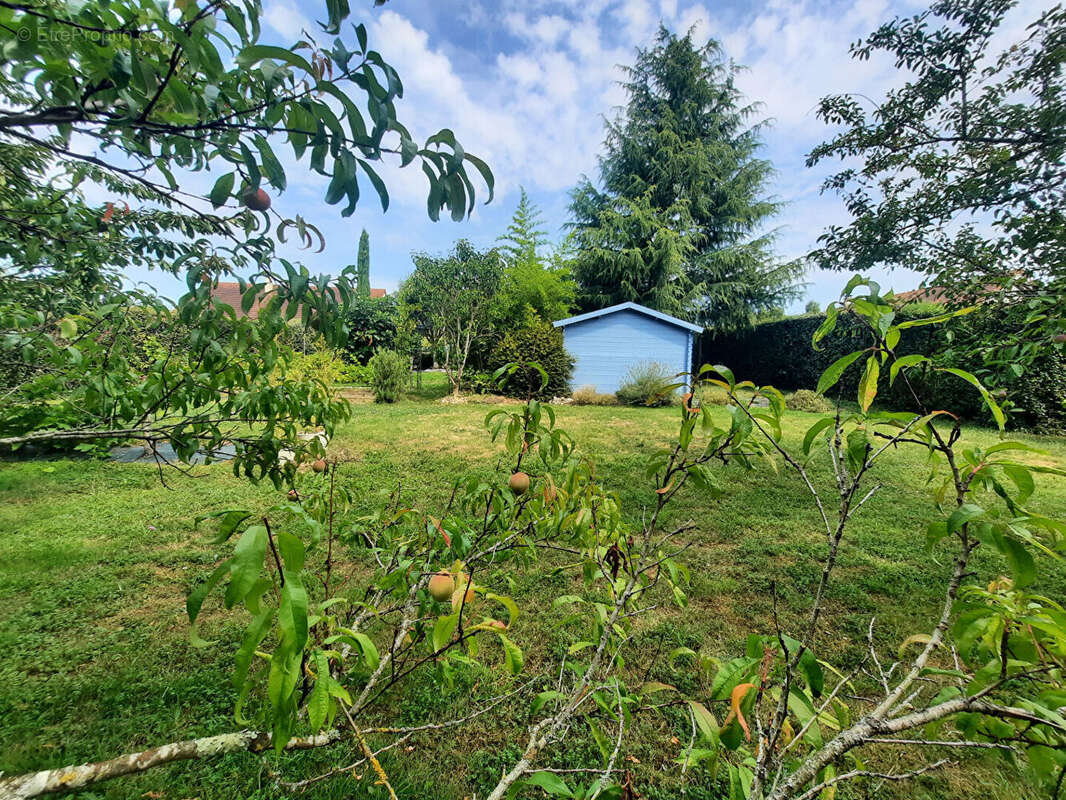Maison à CINQ-MARS-LA-PILE
