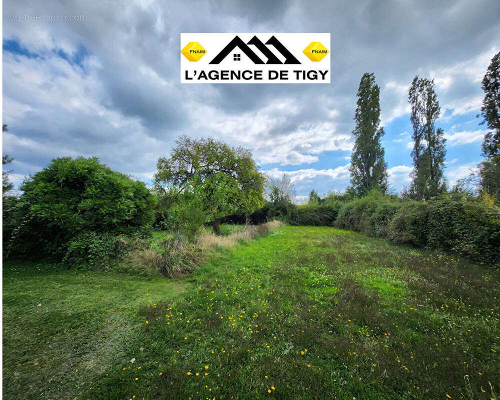 Maison à vendre (proche sully sur loire) 5 pièce(s) 102 m2 - photo 14