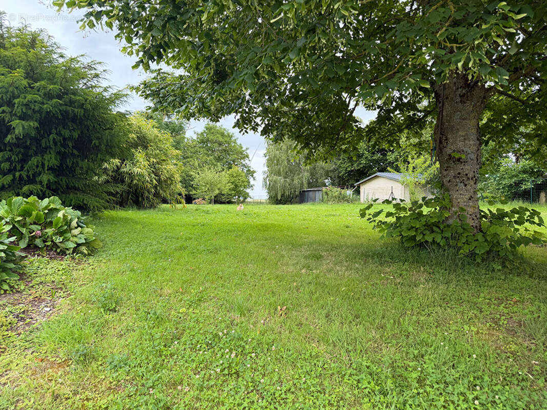 Terrain à vendre à Autremencourt - 1517 m² - photo 2