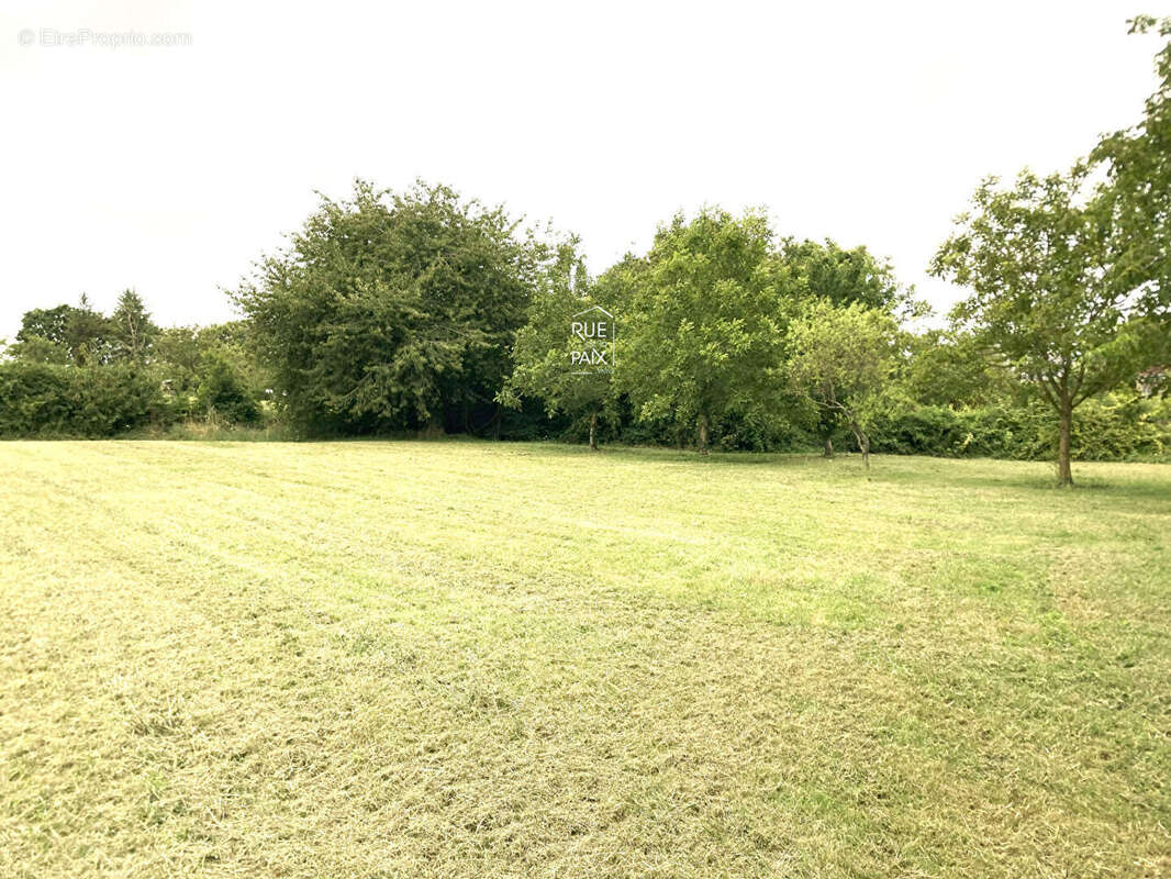 Terrain à MARIGNY-MARMANDE