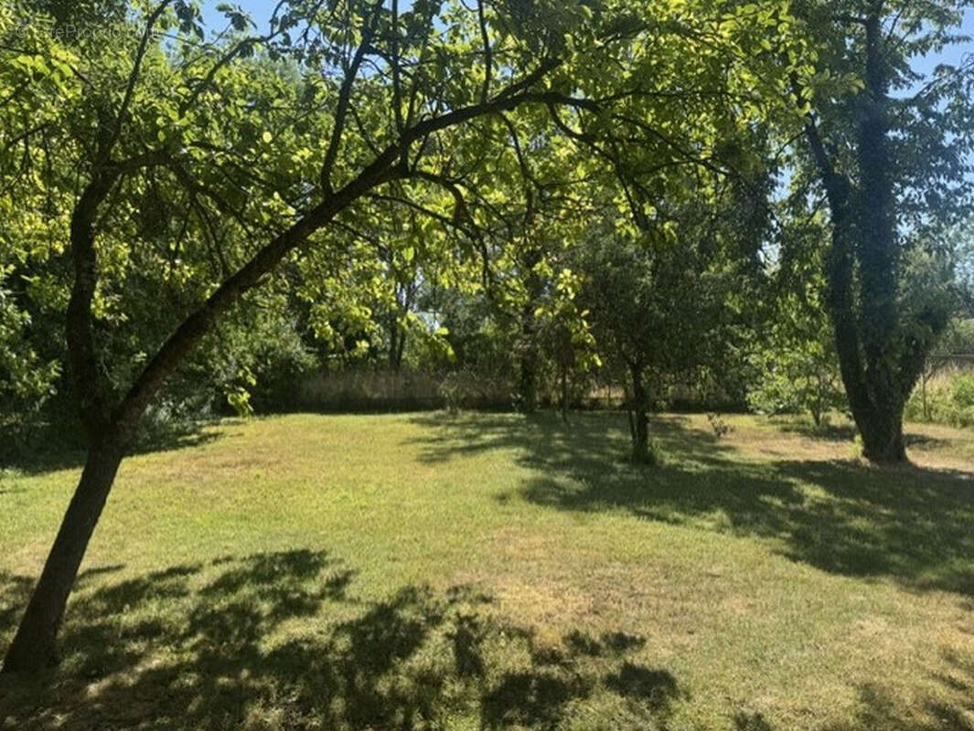 Maison 7 pièces avec jardin et dependances à semoine - photo 10