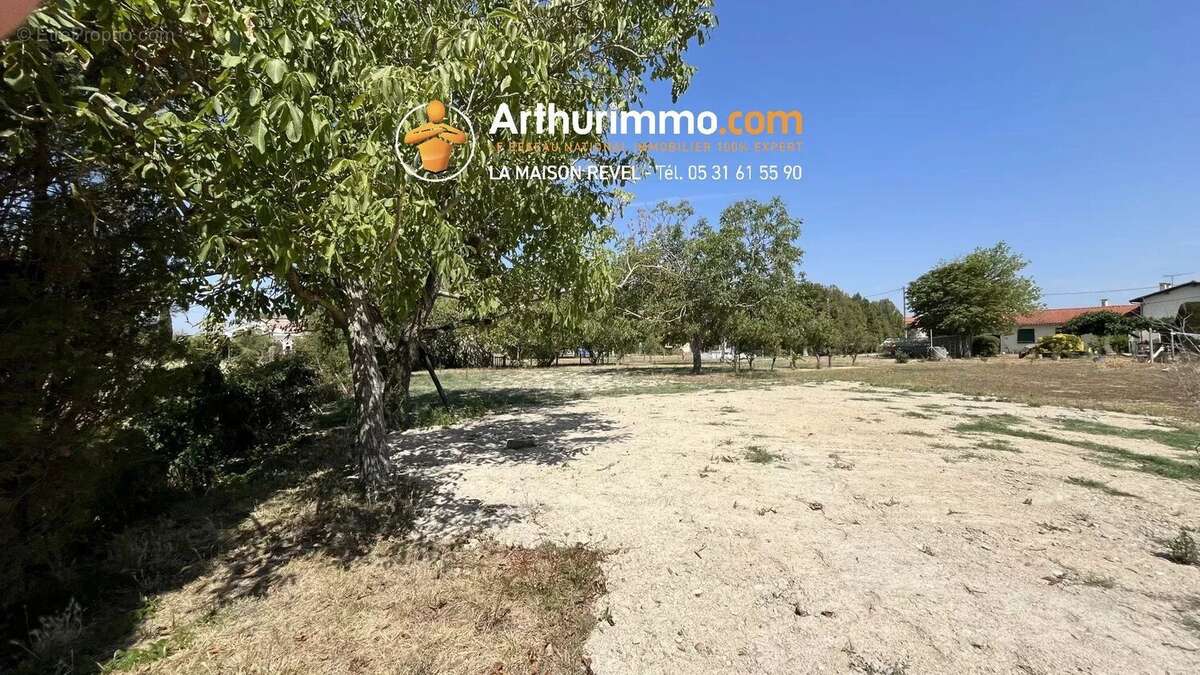 Vente Terrain Revel(31250) 95 000ï¿œ - photo 4