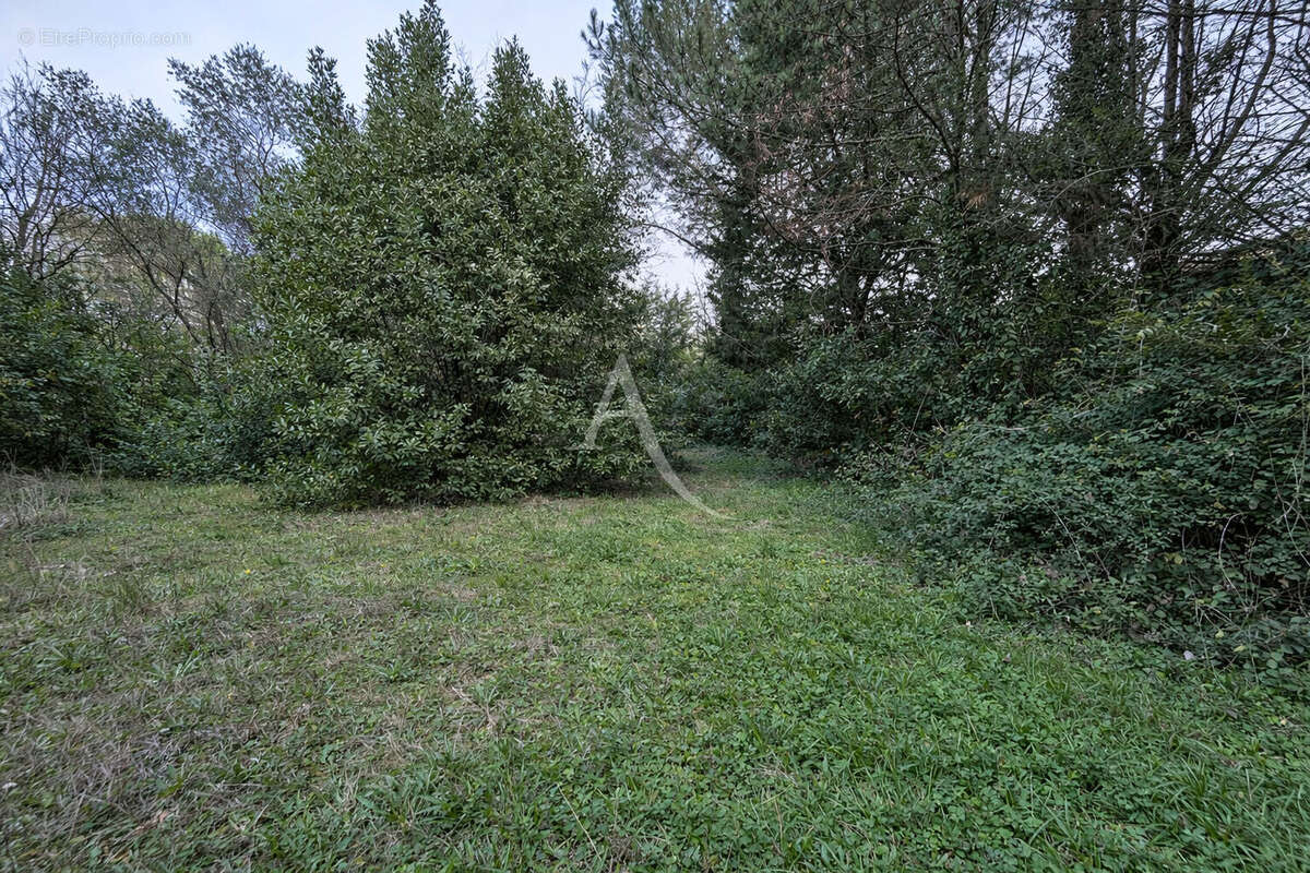 Terrain à GRABELS