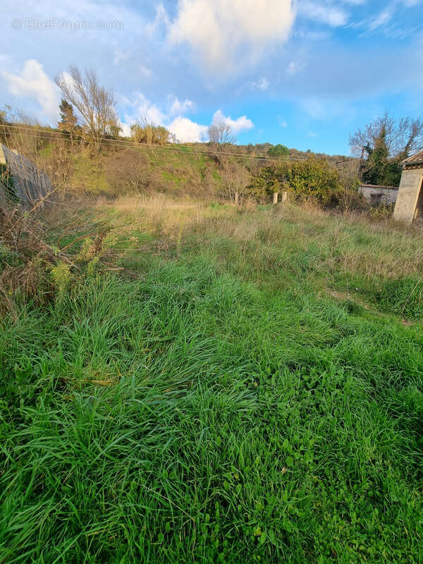 Terrain à BEDARIEUX