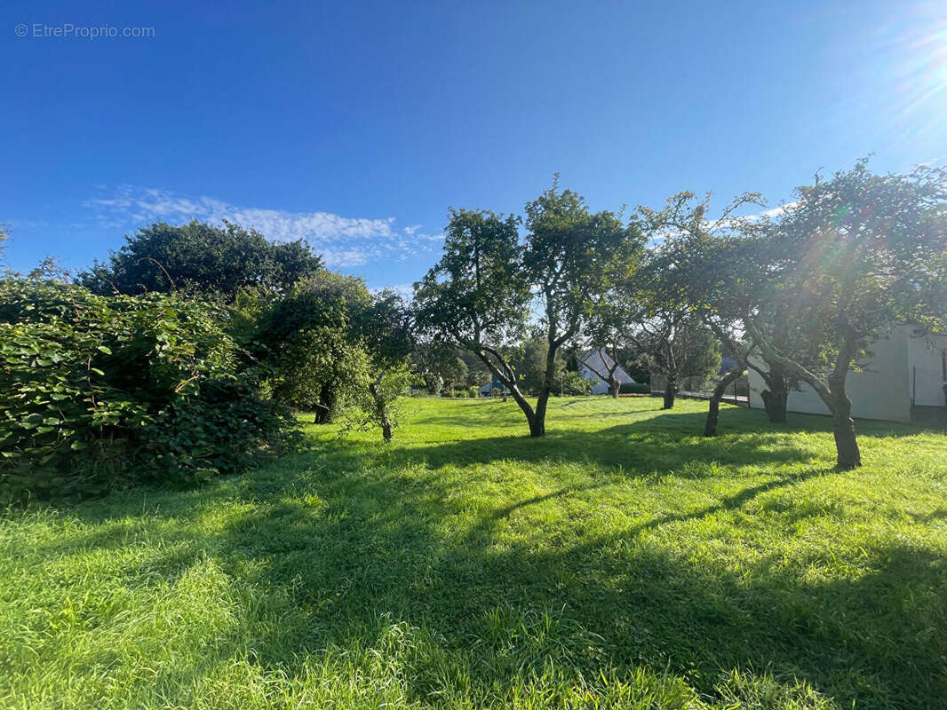 Terrain à LE RELECQ-KERHUON