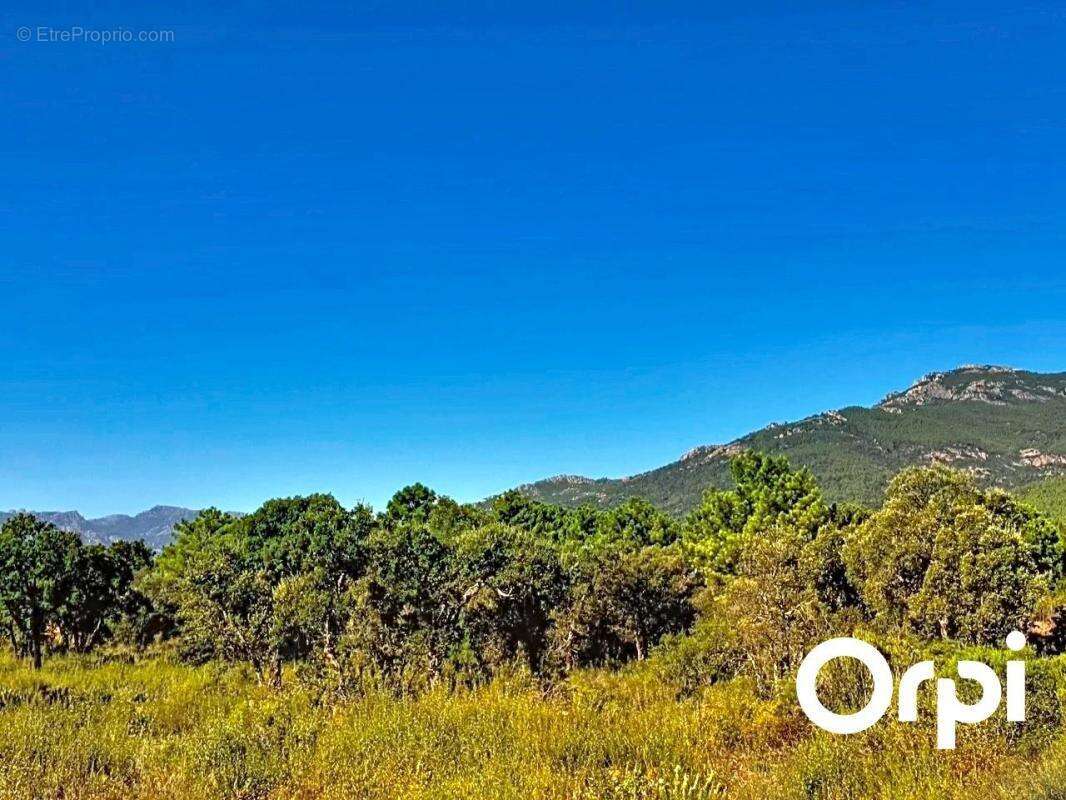 Maison à SAN-GAVINO-DI-CARBINI