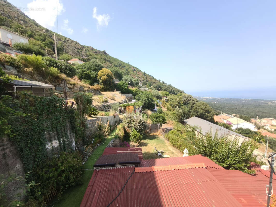 Maison de village - Studio T5 Cervione - photo 19