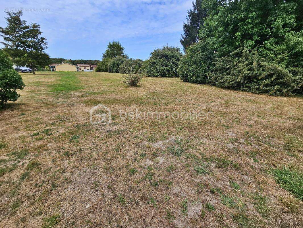 À vendre – Terrain à bâtir de 1428 m² à Saint-Gein (40190) - photo 3